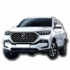 SSANGYONG