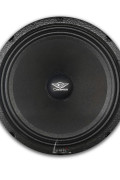 ZRS-125 2000 WATT Midrange