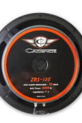 ZRS-125 2000 WATT Midrange