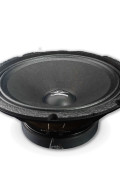 ZRS-125 2000 WATT Midrange