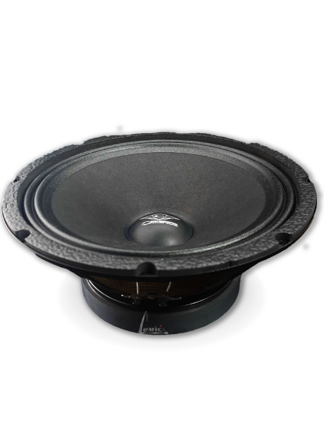 ZRS-125 2000 WATT Midrange
