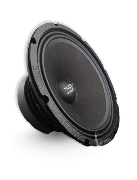 ZRS-125 2000 WATT Midrange